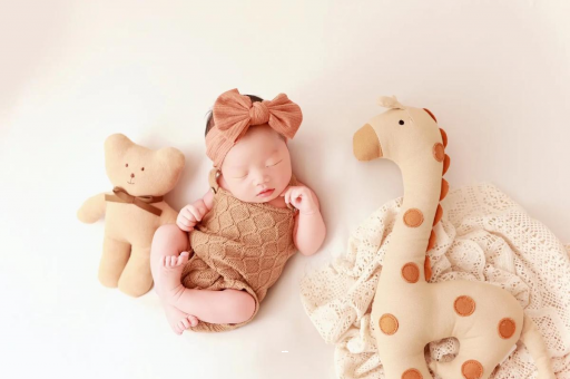 襄阳宝宝虾的做法